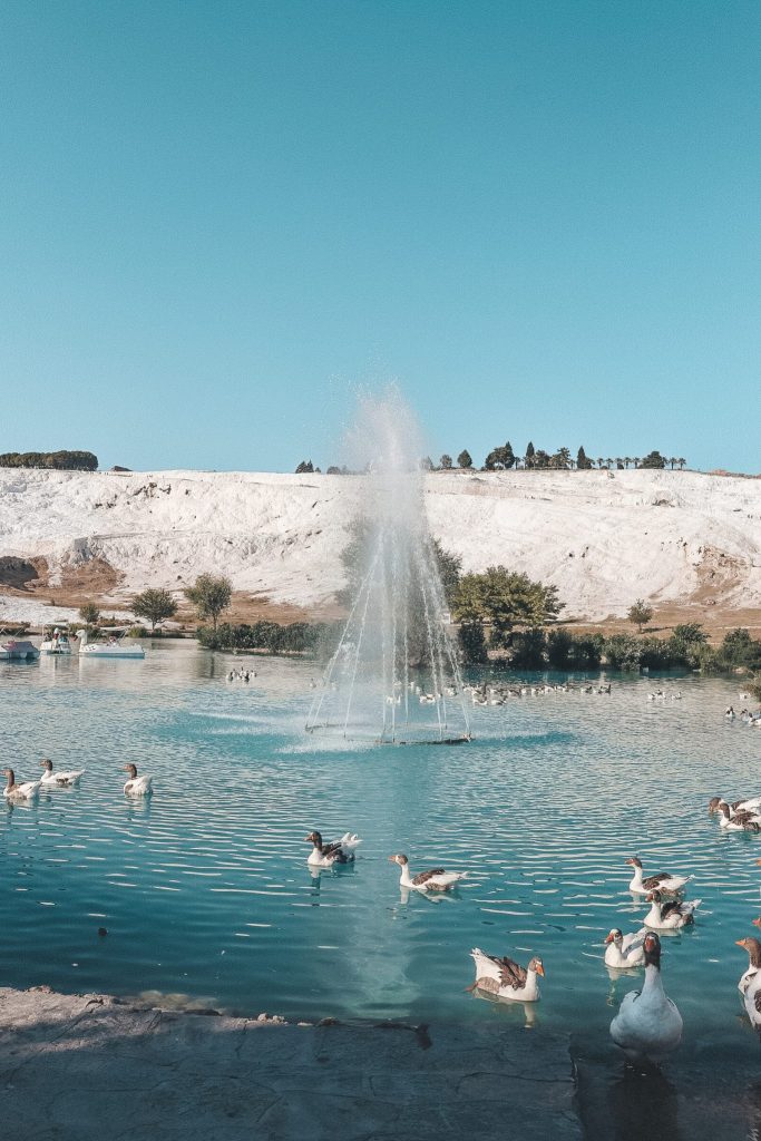 Ephesus & Pamukkale 2 Days - 1 Nights