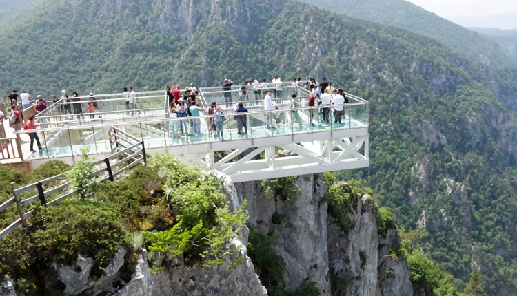 DAİLY SAPANCA TOUR